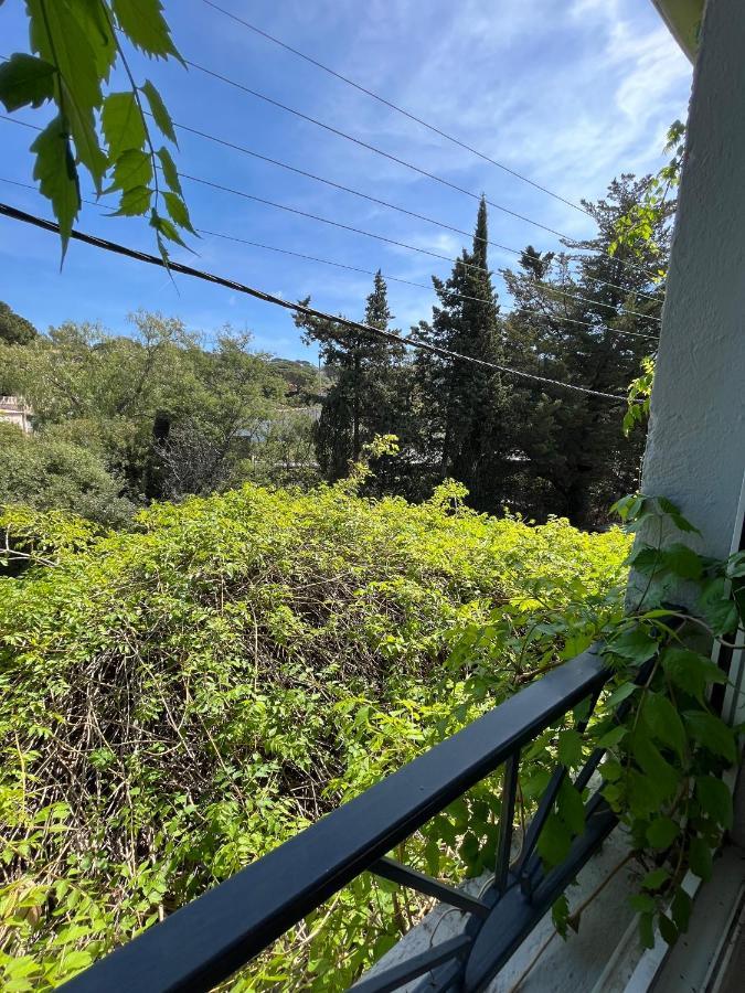 סן-מקסים Hotel Princesse D'Azur מראה חיצוני תמונה