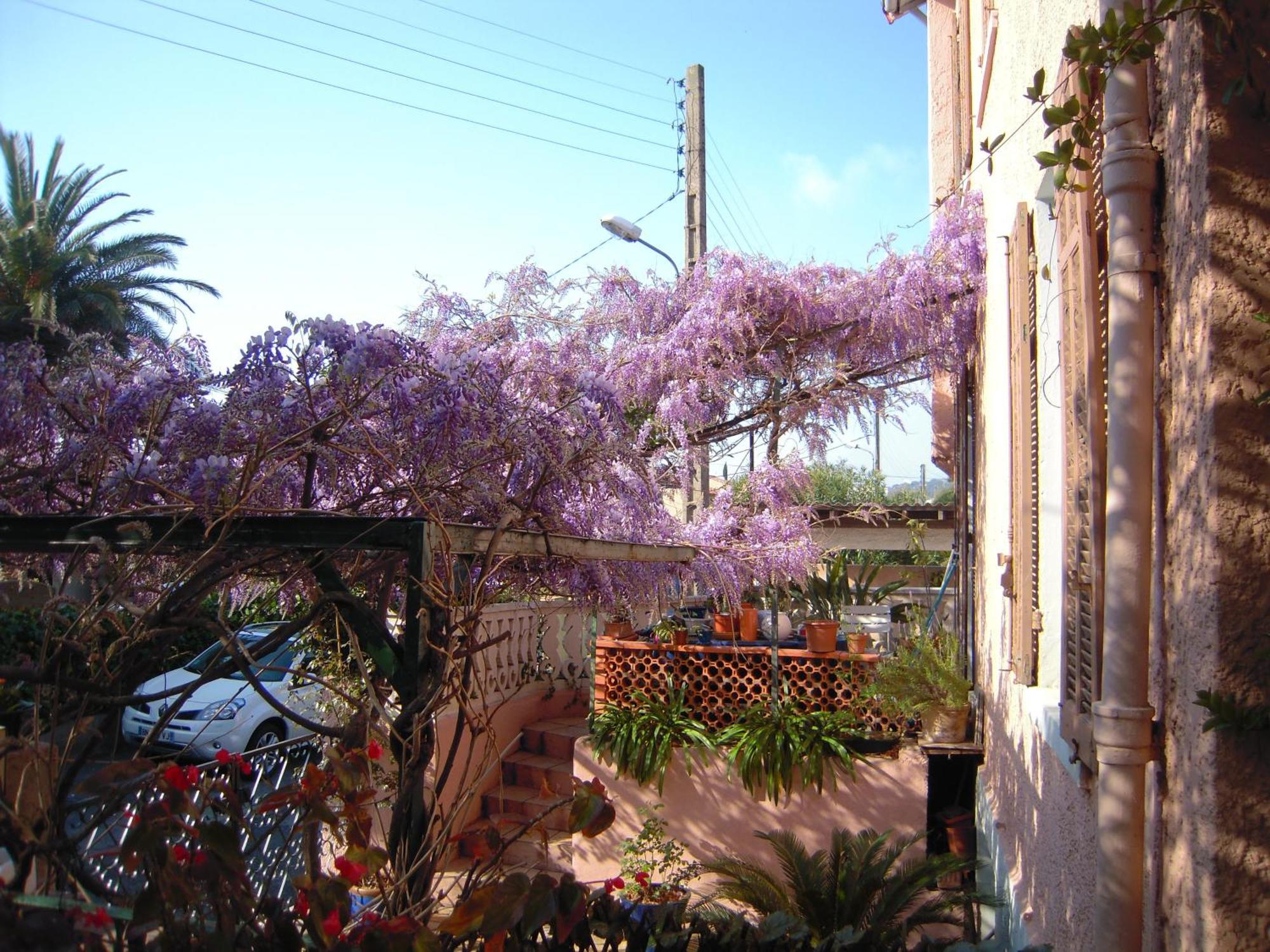 סן-מקסים Hotel Princesse D'Azur מראה חיצוני תמונה