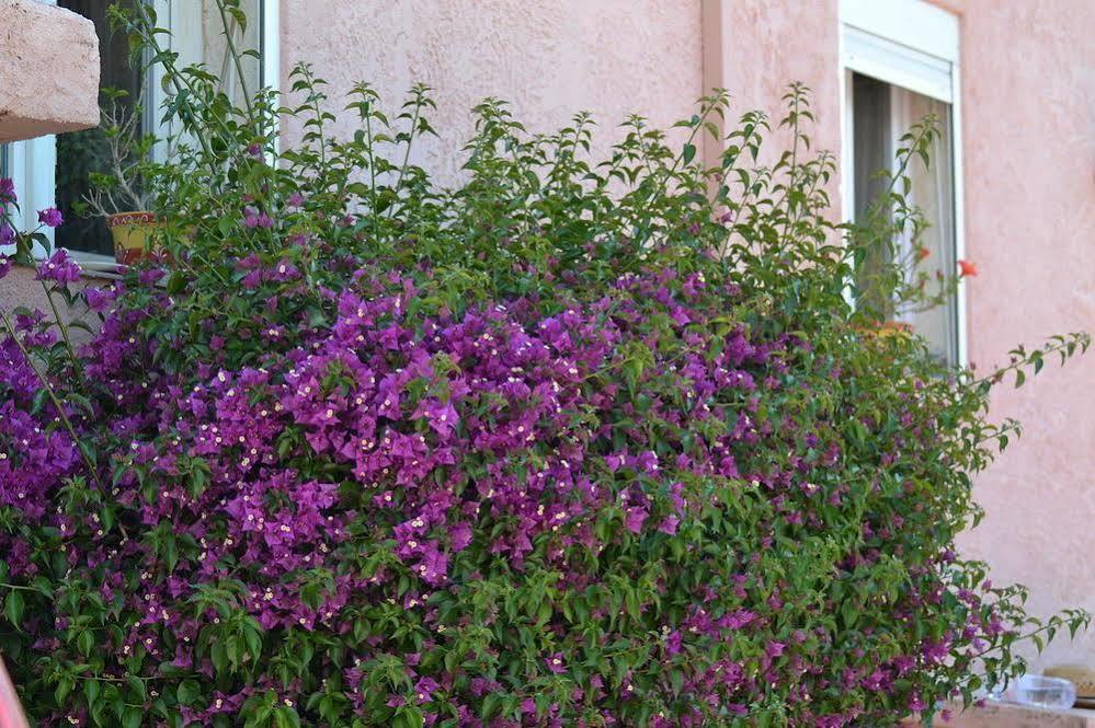 סן-מקסים Hotel Princesse D'Azur מראה חיצוני תמונה
